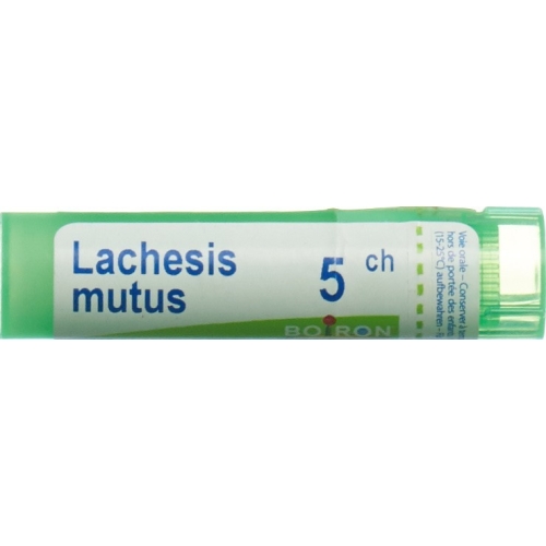 Boiron Lachesis mutus Gran C5 4g buy online