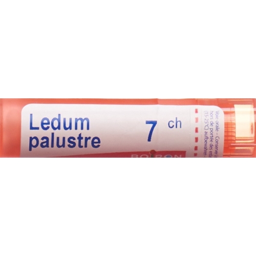 Ledum palustre Boiron Gran C 7 4 g buy online