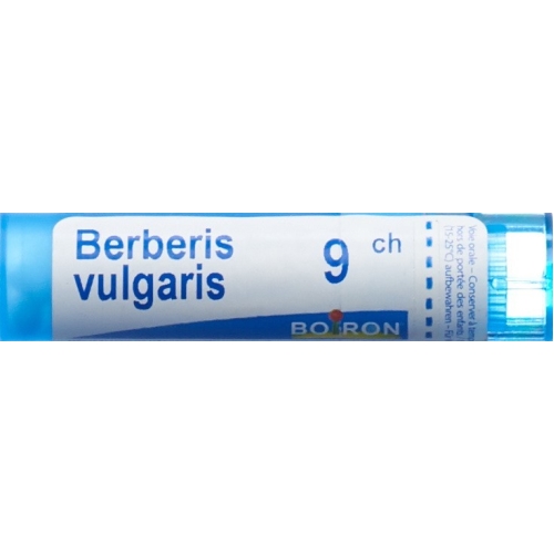 Boiron Berberis vulgaris Gran C 9 4g buy online