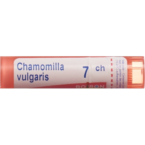 Boiron Chamomilla vulgaris Gran C 7 4g buy online