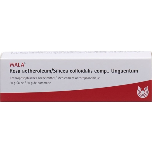 Wala Rosae aetherolum / Silica colloidalis ointment comp. Tb 30 g buy online