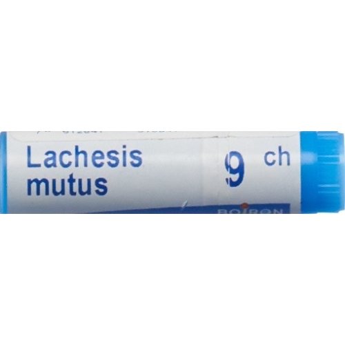 Boiron Lachesis mutus Glob 9C 1 dose buy online