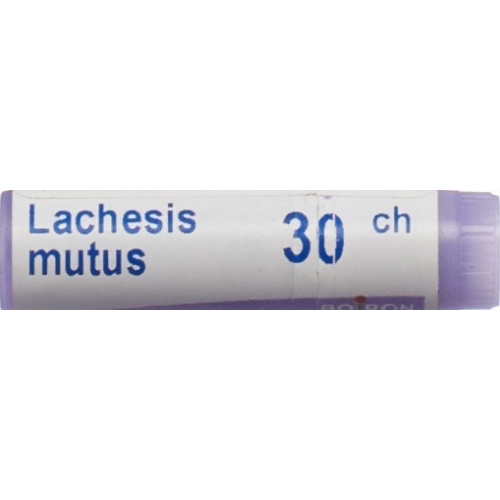 Boiron Lachesis mutus Glob C 30 1 Dos buy online