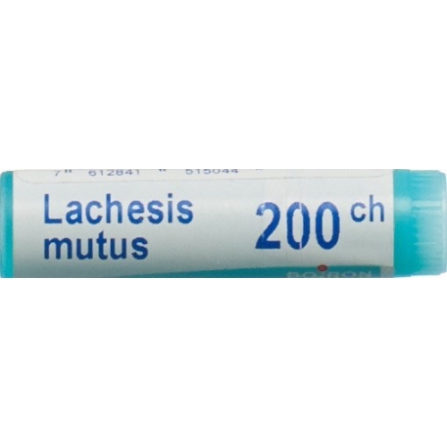 Boiron Lachesis mutus Glob 200C 1 dose buy online