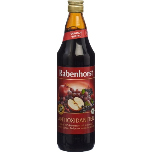 Rabenhorst antioxidants juice bio 7.5 dl buy online