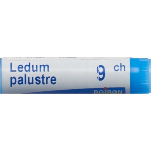 Boiron Ledum Palustre Globuli C 9 1 Dos buy online