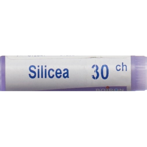 Boiron Silicea Globuli C 30 1 Dos buy online