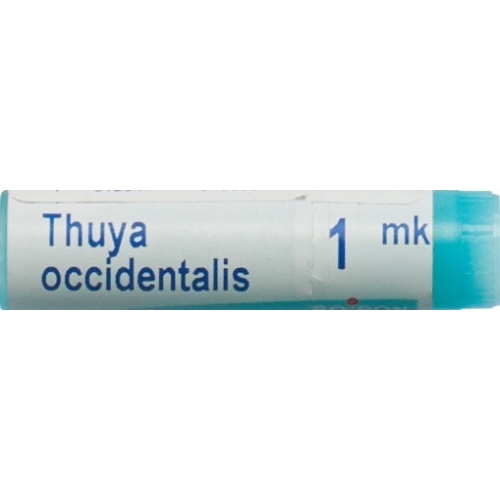 Boiron Thuya Occidentalis Globuli Mk 1 Dos buy online