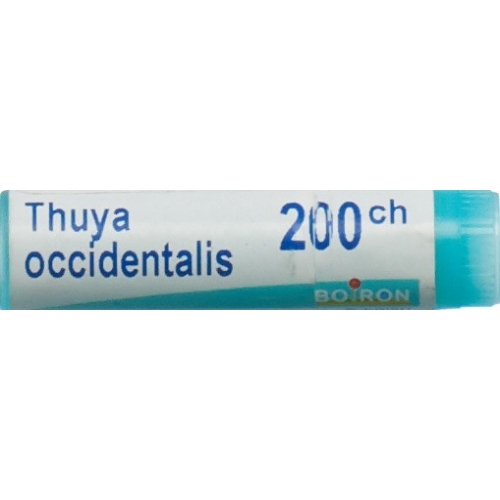 Boiron Thuya Occidentalis Globuli C 200 1 Dos buy online