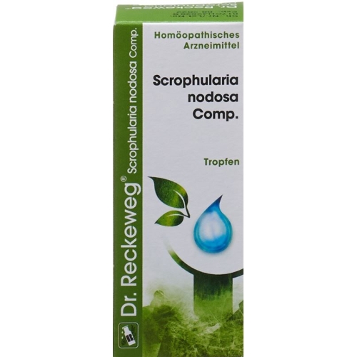 Reckeweg R17 Scrophularia Nod Comp. Tropfen 50ml buy online