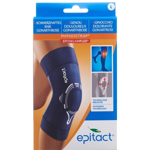 Epitact Physiostrap L 41-44cm buy online