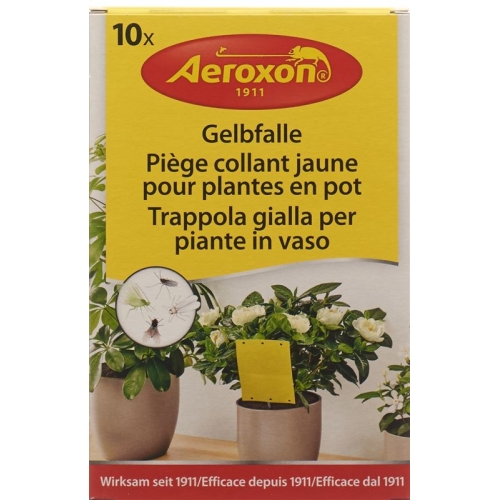 Aeroxon Gelbfalle für Topfpflanzen 10 Stück buy online