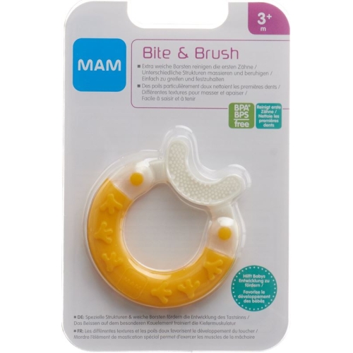 Mam Bite & Brush 3+m buy online