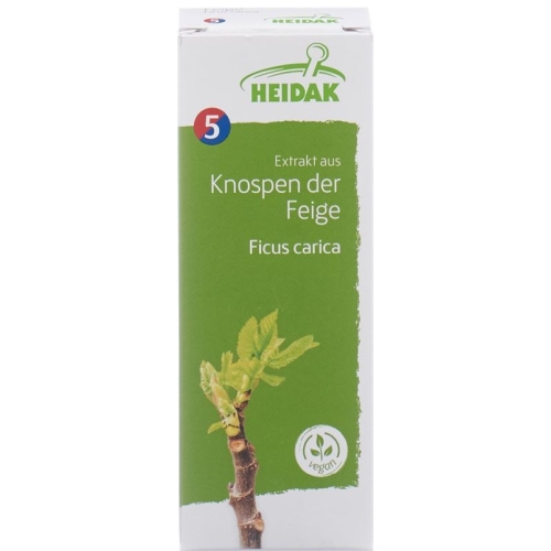 Heidak Knospe Feige Ficus Glyc Maz Flasche 30ml buy online