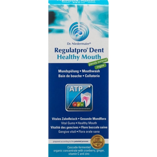 Regulatpro Dent Healthy Mouth Flasche 350ml buy online