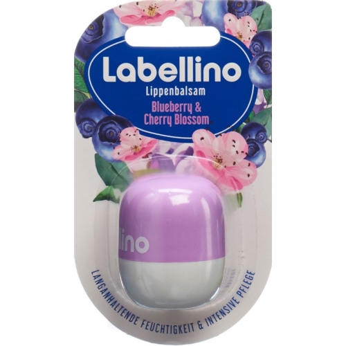 Labello Labellino Blueberry and Cherry Blossom 7g buy online