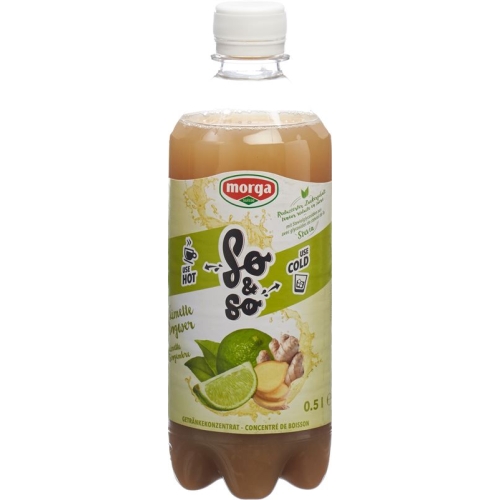 So&so Limette-Ingwer Konzentrat mit Stevia Flasche 5dl buy online