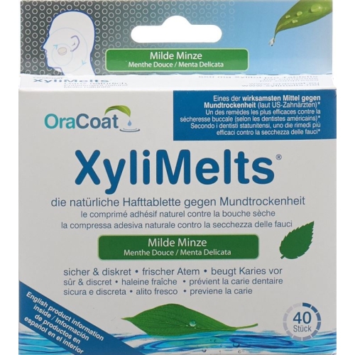 Xylimelts throat lozenges G Dry mouth 40 pieces buy online