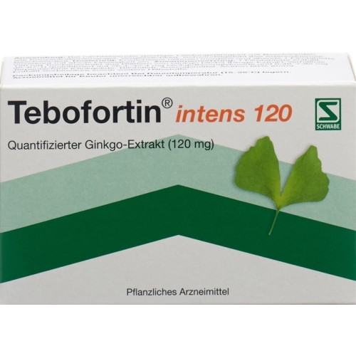 Tebofortin Intens 120 Filmtabletten 120mg 90 Stück buy online