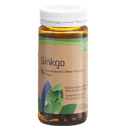 Bionaturis Ginkgo 250mg Flasche 120 Stück buy online