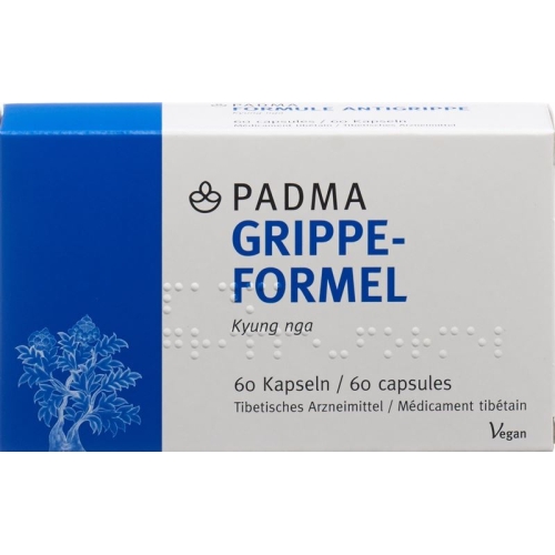 Padma Grippe-Formel Kapseln 60 Stück buy online