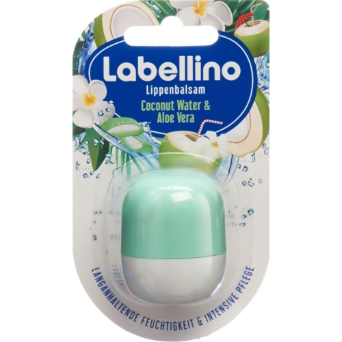 Labello Labellino Aloe Vera & Coconut Water 7g buy online