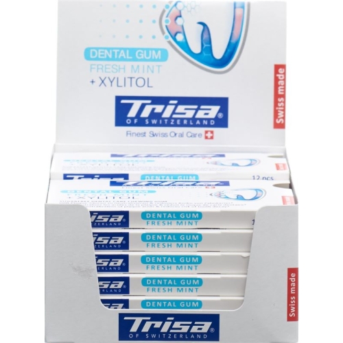 Trisa Display Dentalkaugummi Fresh Mint 12 Stück buy online