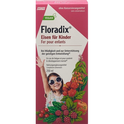 Floradix Iron for children 250ml buy online