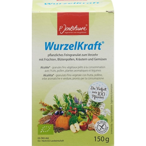 Jentschura Wurzelkraft Feingranulat Bio 150g buy online