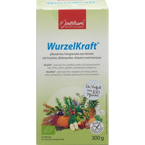 Jentschura Wurzelkraft Feingranulat Bio 300g buy online