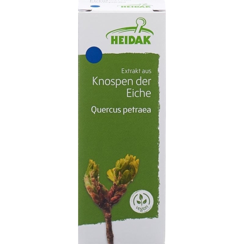 Heidak Knospe Eiche Quercus Petr Glyc Maz Flasche 30ml buy online