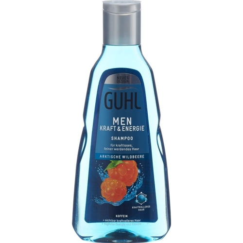 Guhl Men Kraft & Energie Shampoo (neu) Flasche 250ml buy online