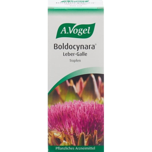 Vogel Boldocynara Leber-Galle Tropfen Flasche 100ml buy online