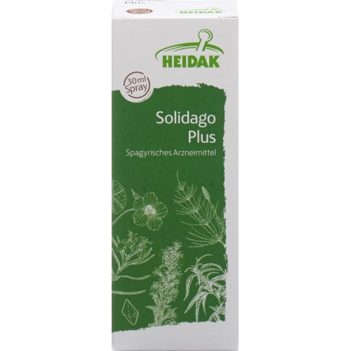 Heidak Spagyrik Solidago Plus Spray Flasche 30ml buy online