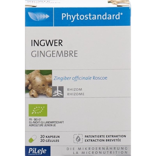 Phytostandard Ginger capsules organic 20 pieces buy online