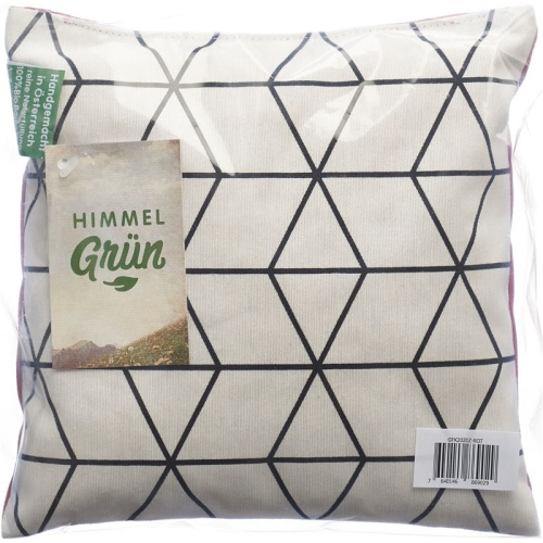 Aromalife pine cushion 20x20cm Modern buy online