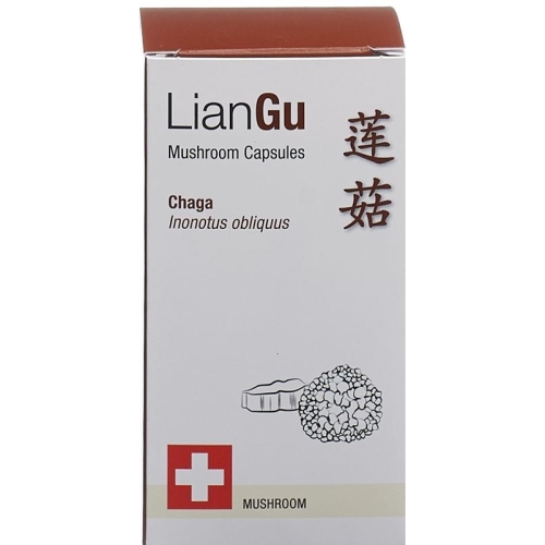 LianGu Chaga Mushrooms Capsules Can 60 Pieces buy online