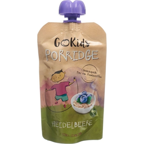 Go Kids Porridge Heidelbeere 110g buy online