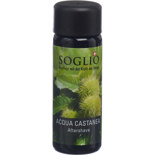 Soglio Aqua Castanea Flasche 100ml buy online