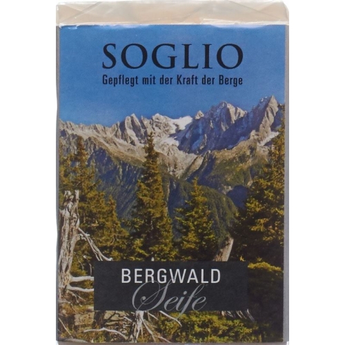 Soglio Bergwald-Seife 95g buy online