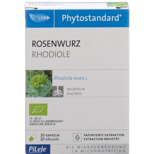 Phytostandard Rosenwurz Kapseln Bio 20 Stück buy online