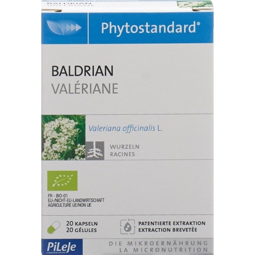 Phytostandard Baldrian Kapseln Bio 20 Stück buy online