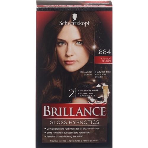 Brilliance Gloss Hypnotics 884 Cocoa Brown buy online