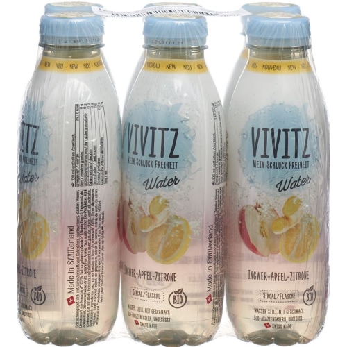 Vivitz Water Ingwer-apfel-zitrone 6 Flasche 0.5L buy online