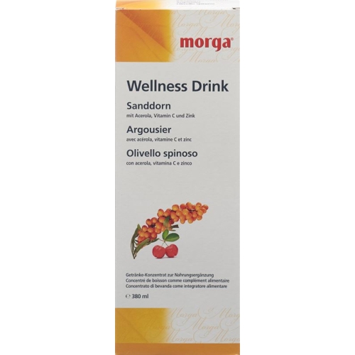 Morga Sanddorn Wellness Drink Flasche 380ml buy online