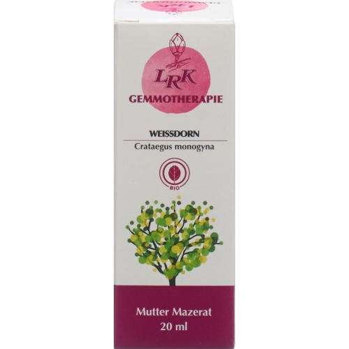 Lrk Mutter Mazerat Weissdorn Tropfen Flasche 20ml buy online