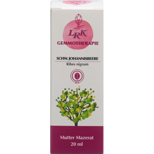 Lrk Mutter Mazerat Sch. Johannisb Tropfen Flasche 20ml buy online