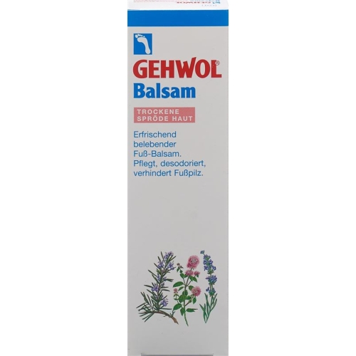 Gehwol Balsam Trockene Haut D/i Tube 75ml buy online