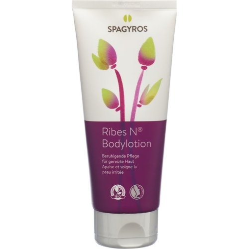 Spagyros Ribes N Bodylotion Tube 200ml buy online